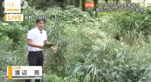 サンダルが落ちてた
